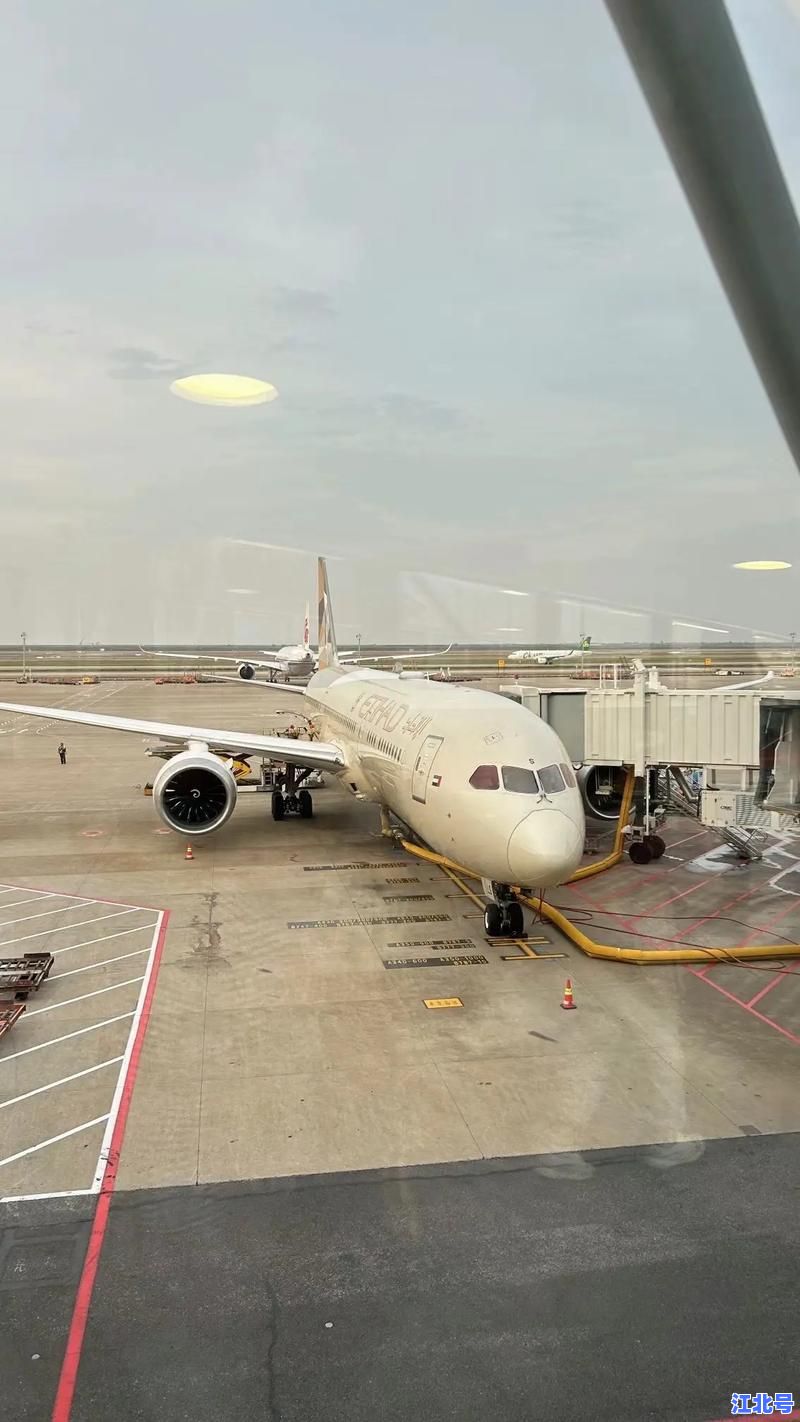 上海浦东国际机场最新疫情防控政策2024全解读：核酸+隔离+入境流程实时更新指南