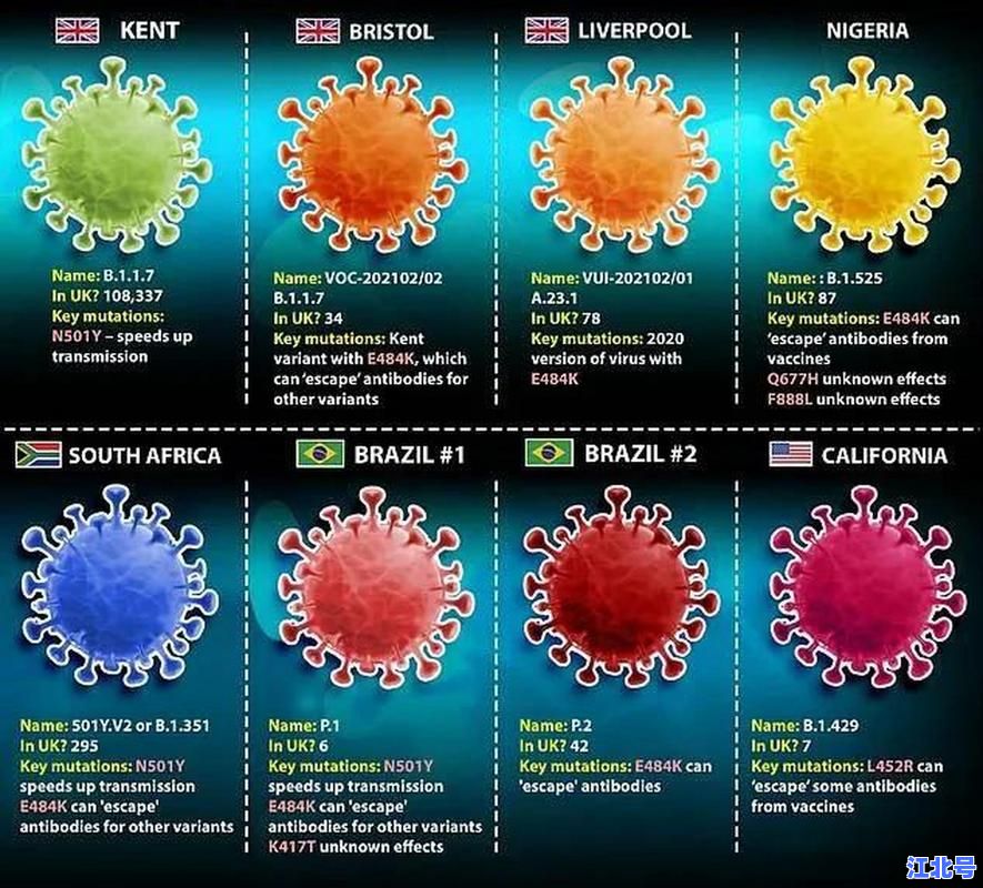 病毒变异后变成什么致命新毒株？专家揭秘奥密克戎XBB与BQ.1最新演化趋势