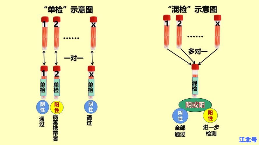 核酸检测为什么要5人一组的真相：混采原理、检测效率与成本控制全解析